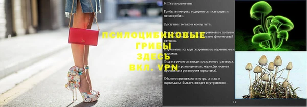 меф Дмитровск