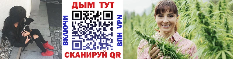 omg tor  Красный Холм  МАРИХУАНА сатива 